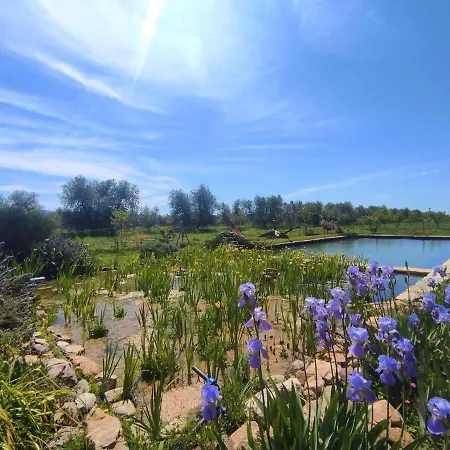 Holiday home Nord By Interhome Castellaccia